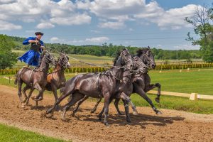Fastest Best Odds for Horse Racing: Pro Tips to Win in India (2026)